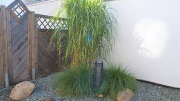 Ein Garten mit einem hölzernen Tor, einer hohen Pflanze und einem kleinen schwarzen Gegenstand auf dem Boden.