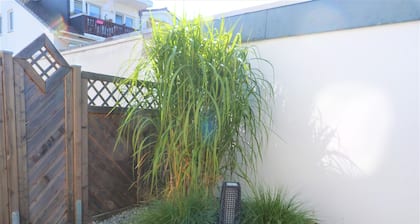 Apartment with large terrace only 150 m to the beach. Renovated in 2024