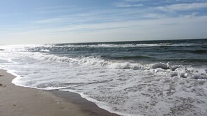 Beach - Our cozy house is located on the outskirts of Amsterdam. Free parking. (Diemen)