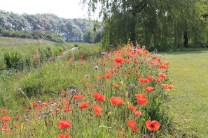 Surrounded by vibrant wildflowers and lush trees, this serene landscape offers a peaceful escape.