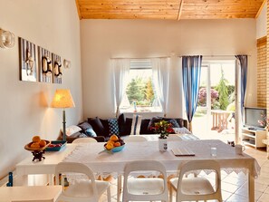 Smart TV, fireplace, DVD player, video library