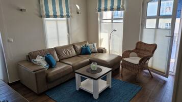 Smart TV, fireplace, DVD player, books