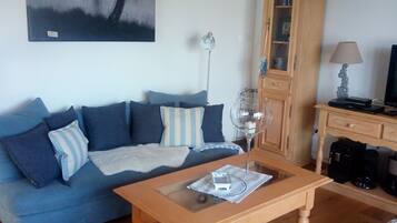 Fernseher, DVD-Player, Bücher, Musikbibliothek