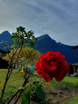 Property grounds - Sunny, quiet location with a view of the beautiful Montafon mountains (Sankt Gallenkirch)