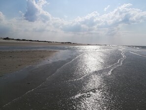 Plage à proximité