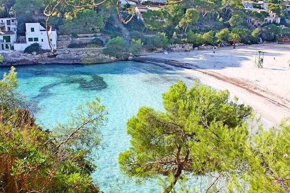 Plage à proximité