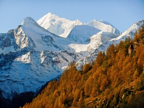 Exterior - Exclusive design chalet on 1 800 meters, 4-6 pers.,  above Törbel (Törbel)