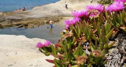 Grosszügiges Ferienhaus mit Meerblick und Garten in Strandnähe auf Insel Elba