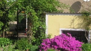 A garden with a yellow wall, a window, and a playground with climbing frames. - Comfortable house in a quiet location near Meissen  (Nossen)