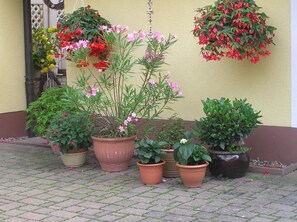 Exterior detail - Comfortable house in a quiet location near Meissen  (Nossen)
