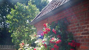 A brick wall with climbing red roses and a wooden gate in a garden setting. - Idyllic farm cottage only 600 m from the Baltic Sea, natural beach, no car traffic (Barkelsby-Hemmelmark)