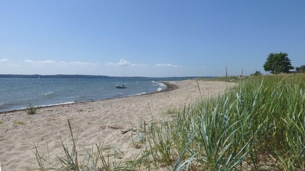 A sandy beach with a boat on the water, a tree, and grass in the foreground. - Idyllic farm cottage only 600 m from the Baltic Sea, natural beach, no car traffic (Barkelsby-Hemmelmark)