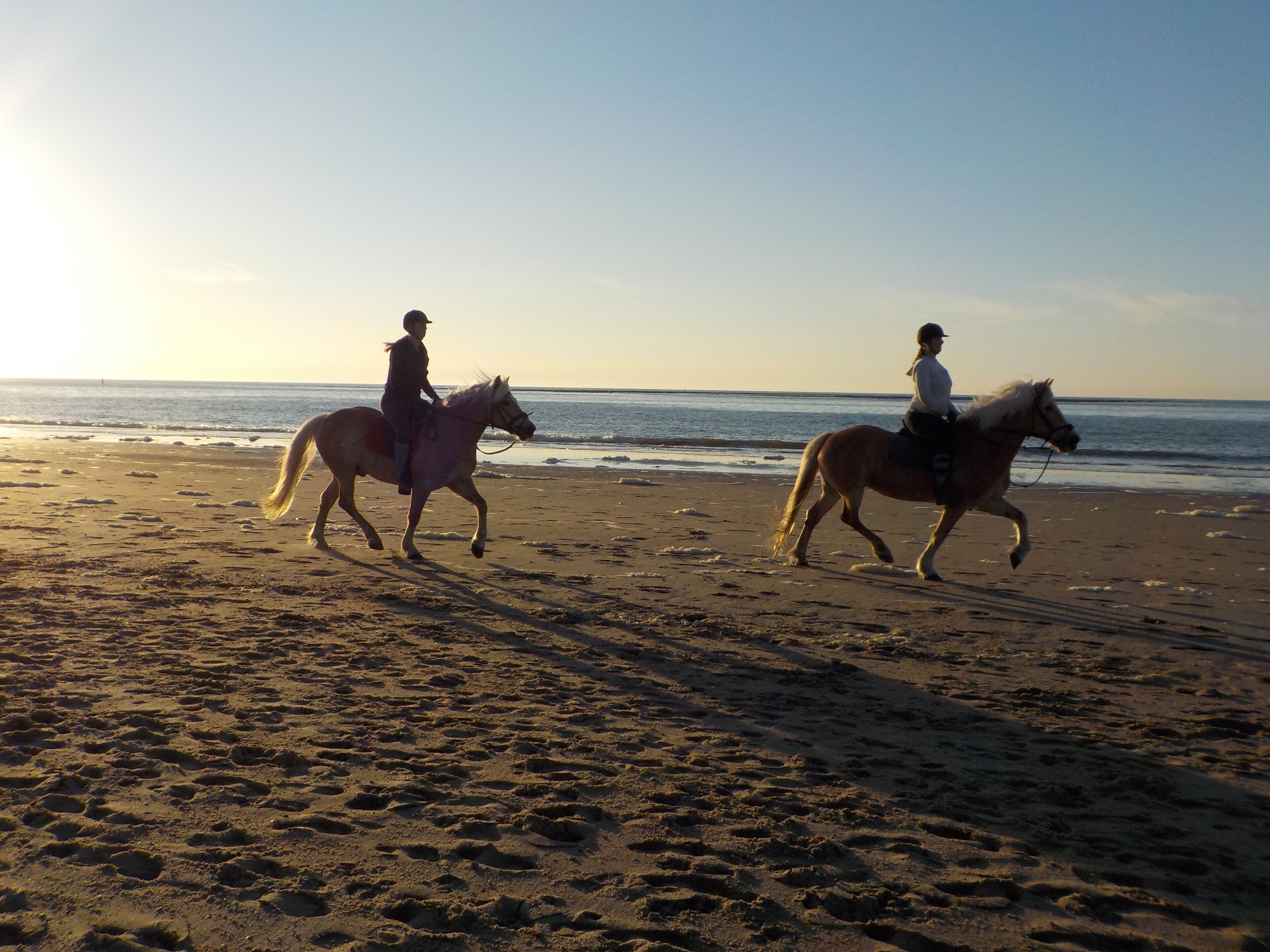 Two people riding horses on a beach with the ocean in the background.