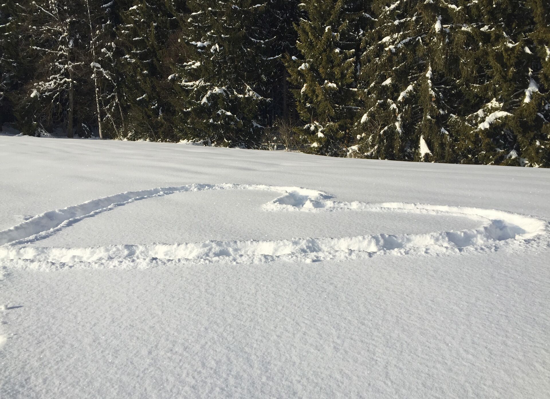 A snow-covered landscape with a circular pattern in the snow.