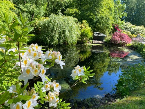 Gemütliches, frei stehendes Ferienhaus mit Kamin (Ostfriesland/Wiesmoor)