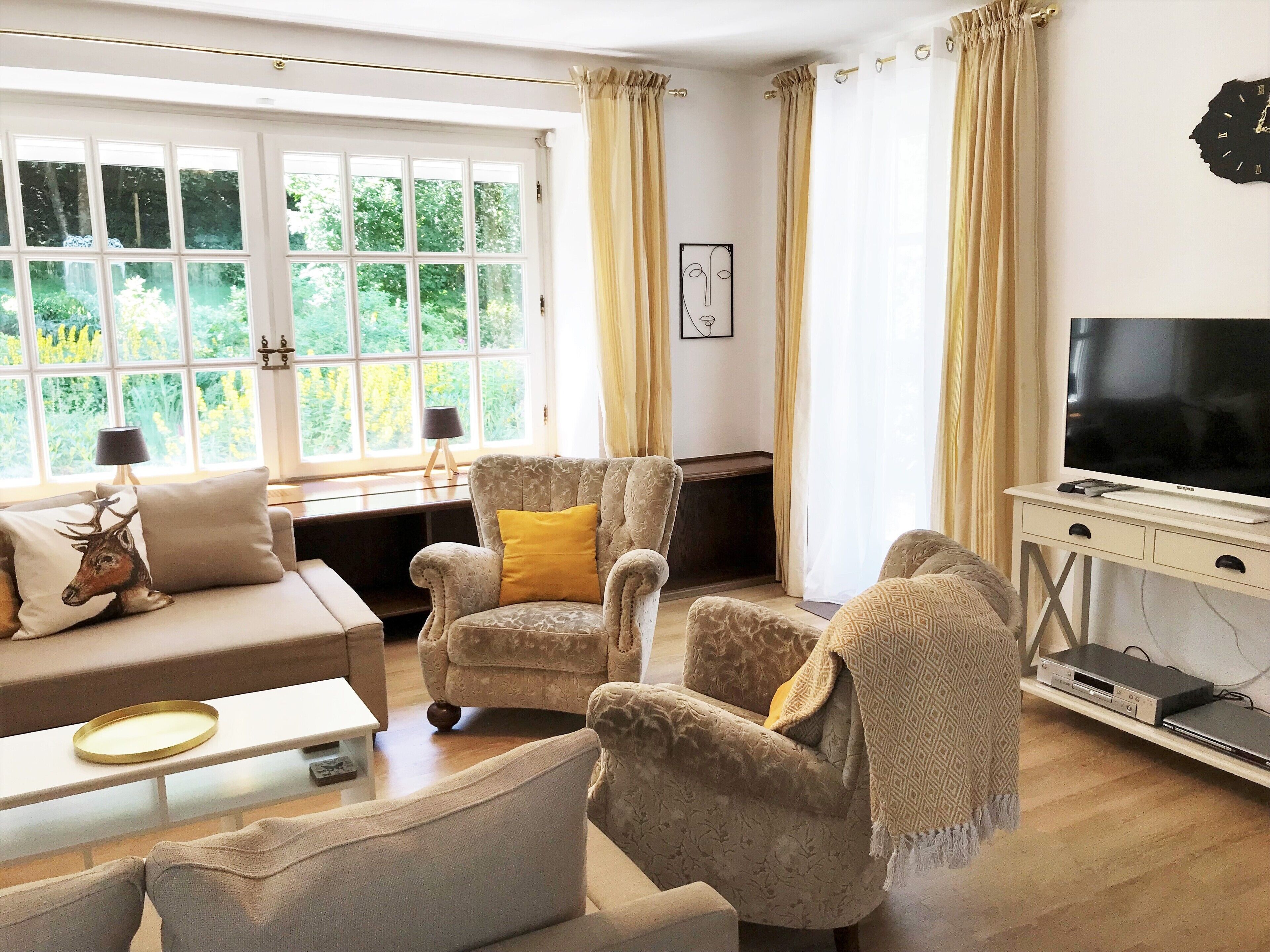 Televisor, llar de foc, reproductor de DVD i llibres 