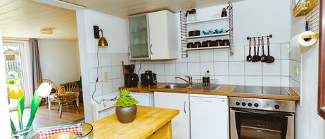 Kühlschrank, Ofen, Herdplatte, Geschirrspüler