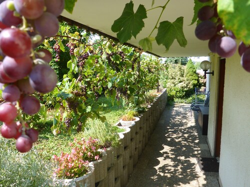 Appartement idyllique de 60 m² avec terrasse à la campagne - à seulement 2,5 km du lac de Constance