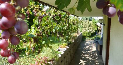 Appartement idyllique de 60 mÂČ avec terrasse Ă la campagne - Ă seulement 2,5 km du lac de Constance
