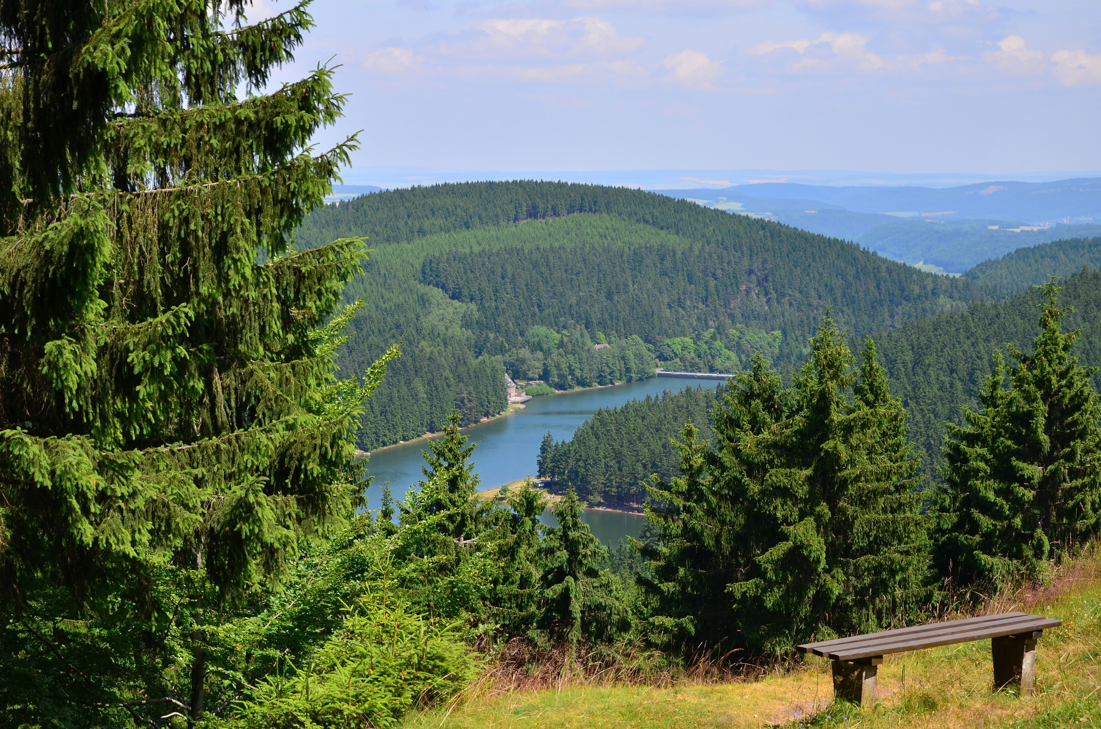 A bench in a forested area with a lake and hills in the background.