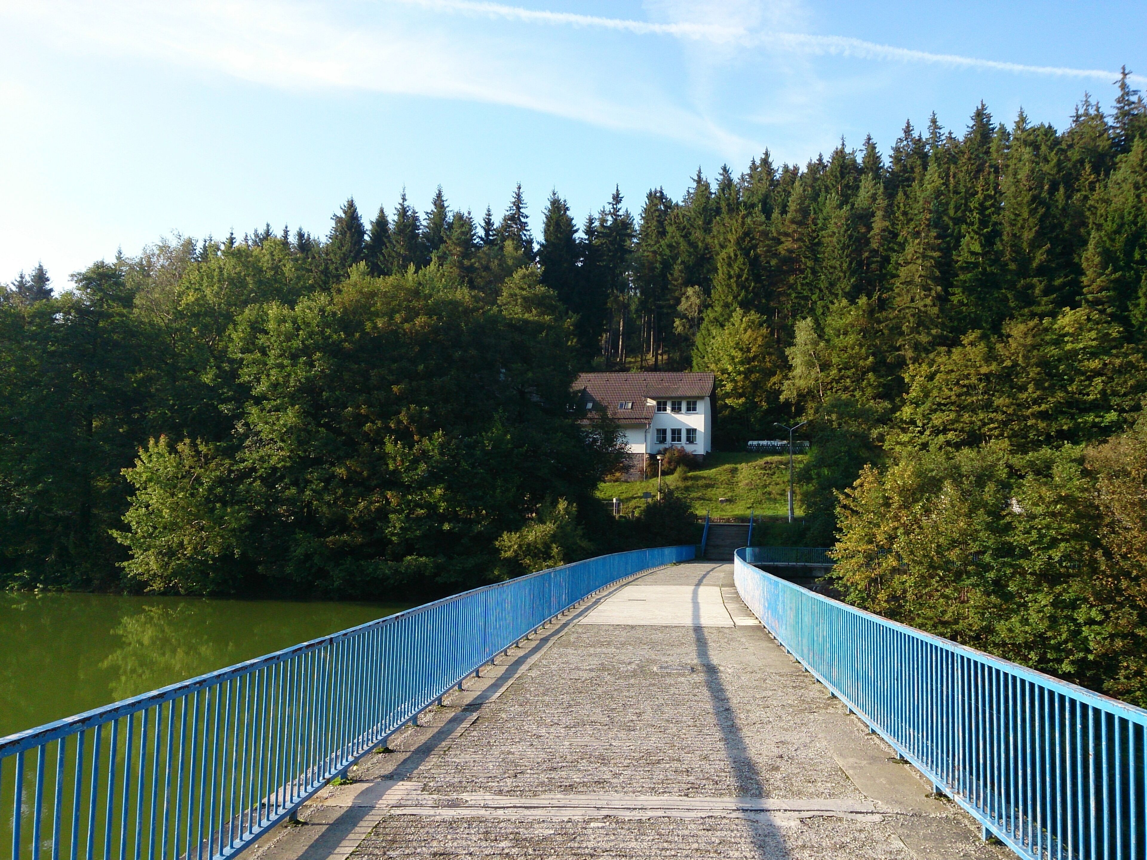A bridge with a blue railing leading to a house surrounded by dense forest.