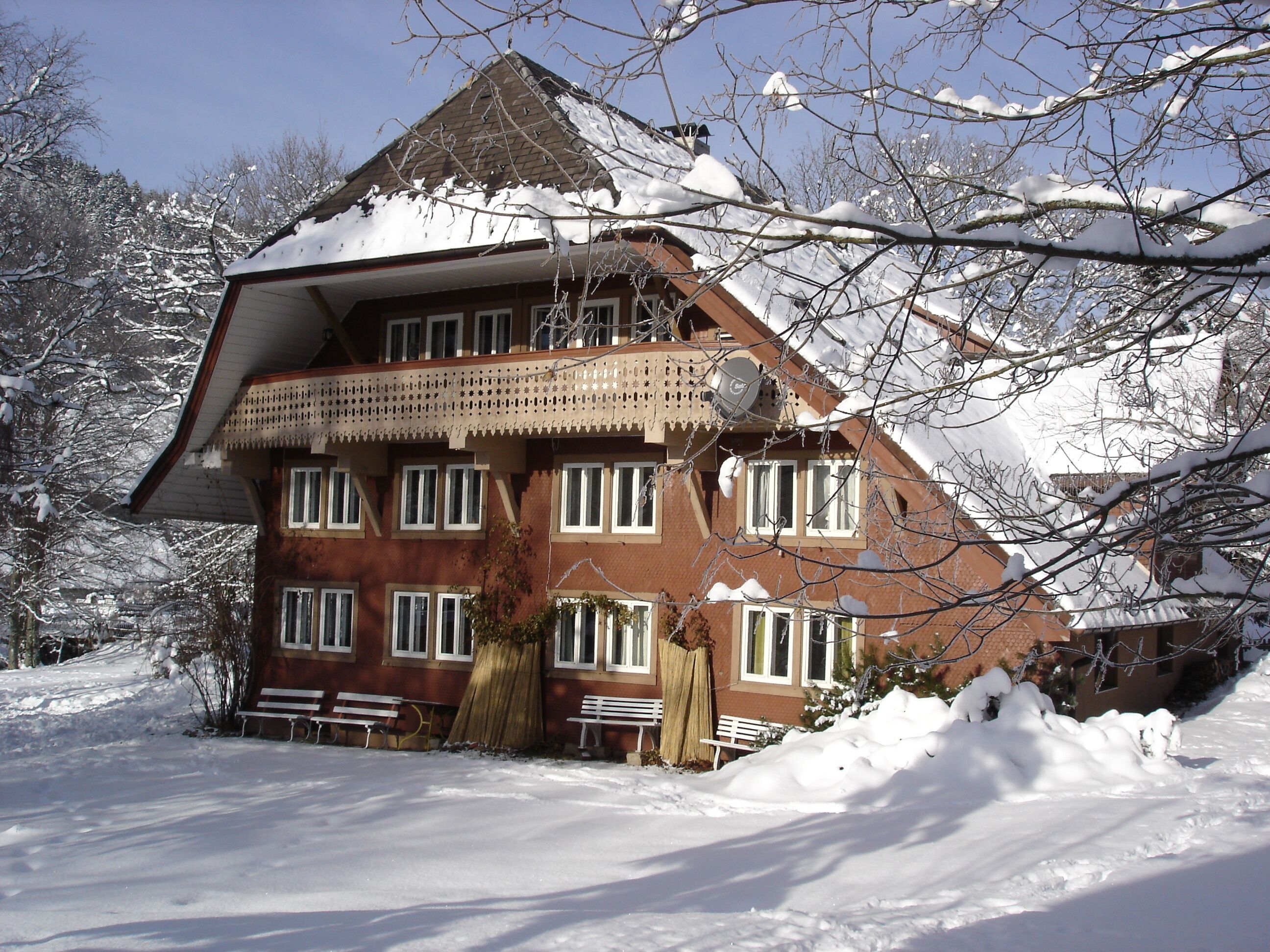 Un immeuble à plusieurs étages, doté d’un toit en pente, entouré d’arbres couverts de neige et d’un sol enneigé.