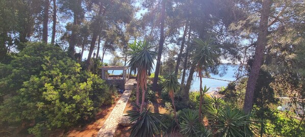 A pathway leading to a gazebo overlooking a beach with dense forest and tall trees. - Unique view, private beach path, 5km from Corfu City, beautiful Corfiot villa. (korfu)