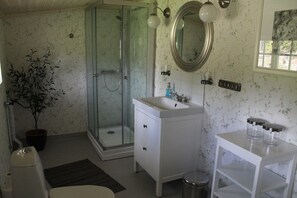 Shower, hair dryer