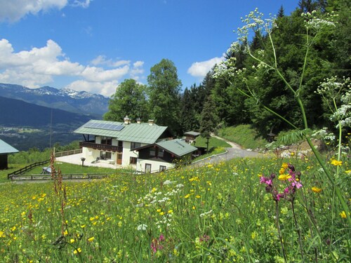Living at one level with the gigantic mountain panorama and alpine landscape