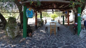 A covered outdoor seating area with a table and chairs, surrounded by greenery and a stone-paved path. - 'Absolutely great holiday home with a large garden near the beach' (Policastro Bussentino)