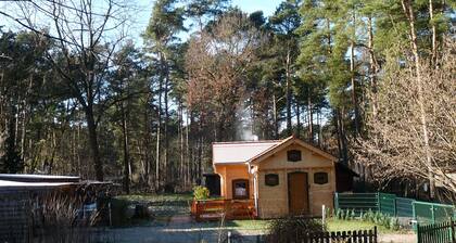Comfortable log house in the forest community of Borkheide