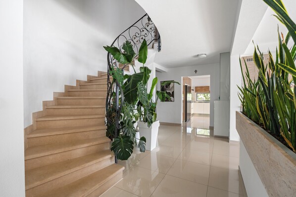Una escalera moderna con barandilla de metal, rodeada de grandes macetas con plantas.