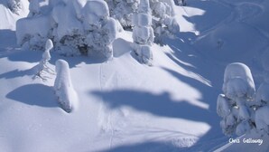 Paisagem coberta de neve, com árvores e céu limpo.