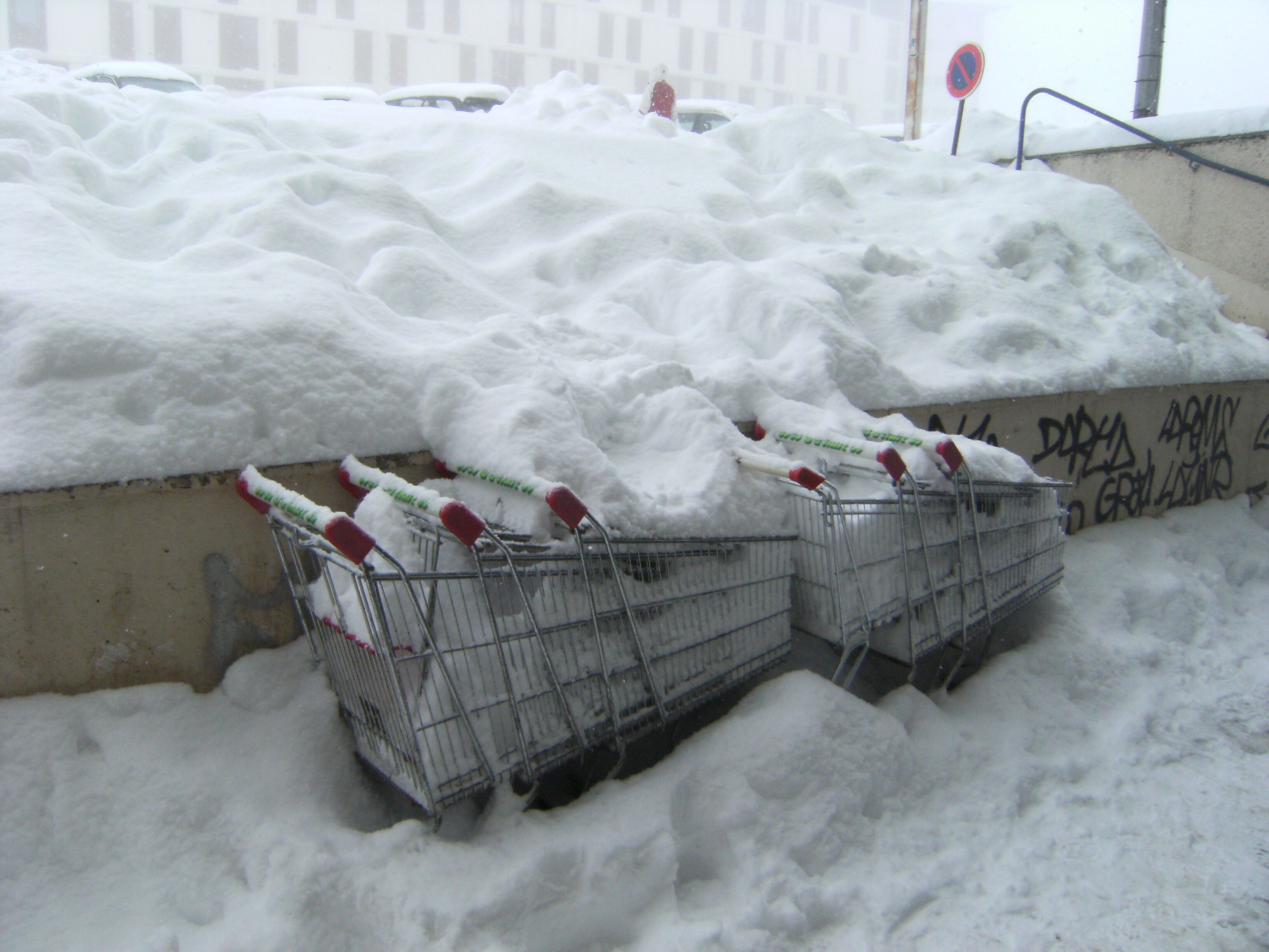 Shopping carts buried in snow with graffiti on the wall behind them.