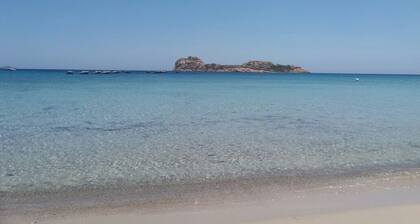 Grosse moderne Unterkunft am Stadtrand. Terrasse, WLAN, Wintergarten günstig