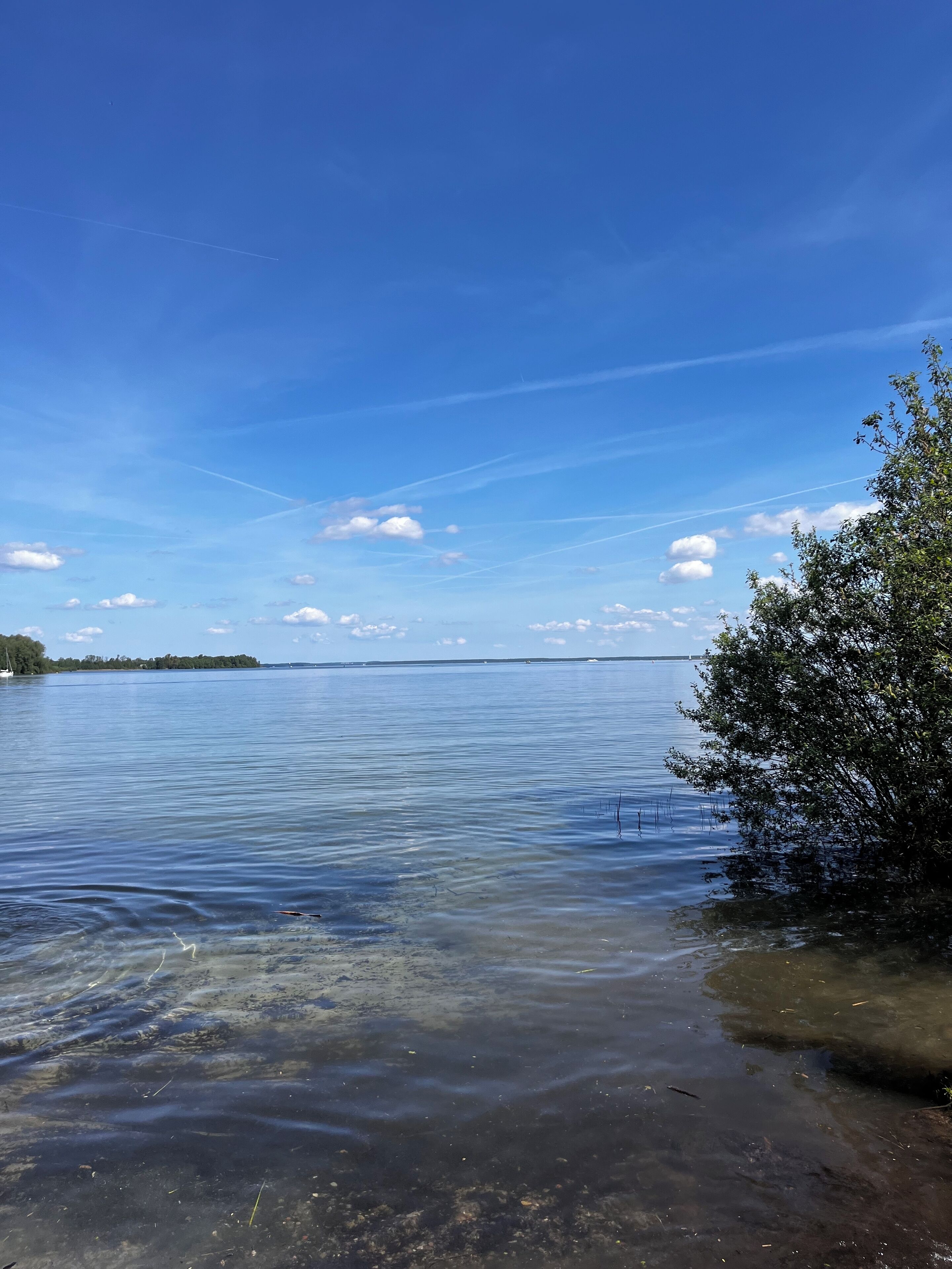 Un lac paisible aux eaux limpides, une rive lointaine et un arbre sur la droite.