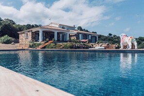 Una casa de piedra con piscina, una estatua de perro y cielo despejado.