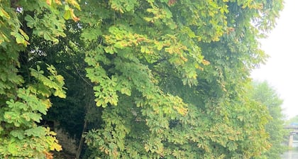 Chalet a orillas del Loiret