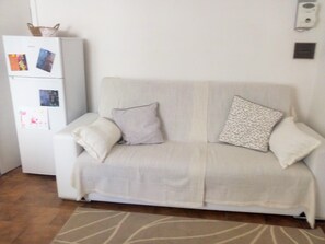 Televisie, een dvd-speler en een filmbibliotheek