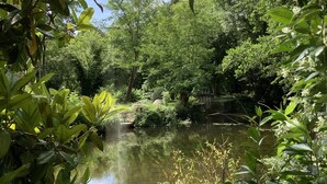 Un jardín tranquilo con un estanque, abundante vegetación y un puente de madera.