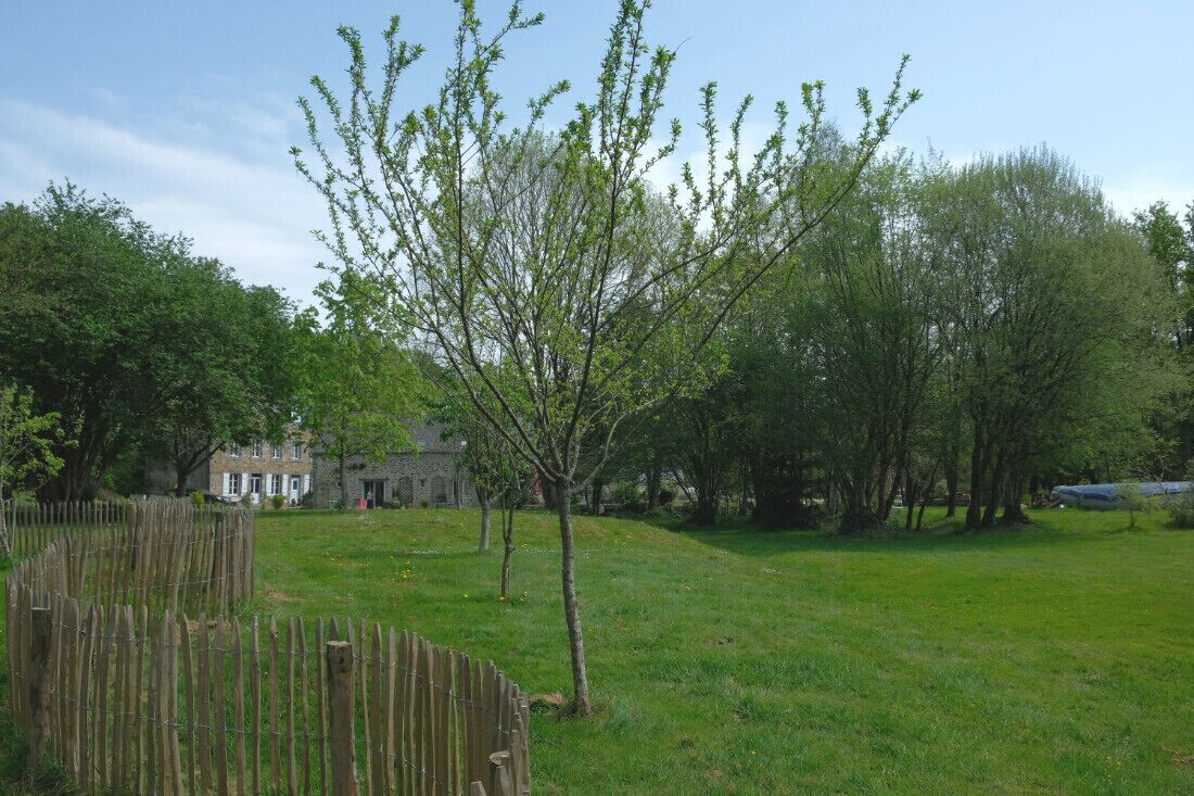 Une zone herbeuse avec une clôture en bois, des arbres et un bâtiment en arrière-plan.