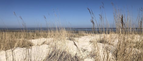 Playa en los alrededores y camastros
