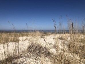 Plage à proximité, chaise longue