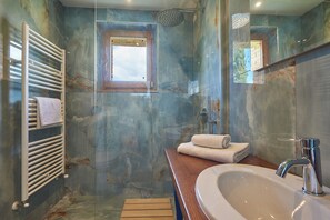 Shower, hair dryer, bidet, towels