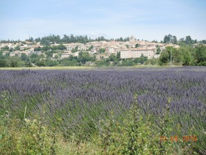 المنطقة المحيطة بالمنشأة