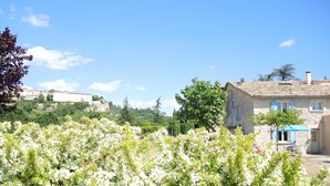 A stone building with a tiled roof, a small patio with chairs, and a garden with blooming white flowers. - Cottage rental at the foot of Mont Ventoux, surrounded by lavender cyclist (Sault)
