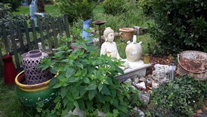 A garden with various potted plants, a statue, and rustic garden furniture. - Restored country house, in the spirit "Countryside" Charm " (Jau-Dignac-et-Loirac)