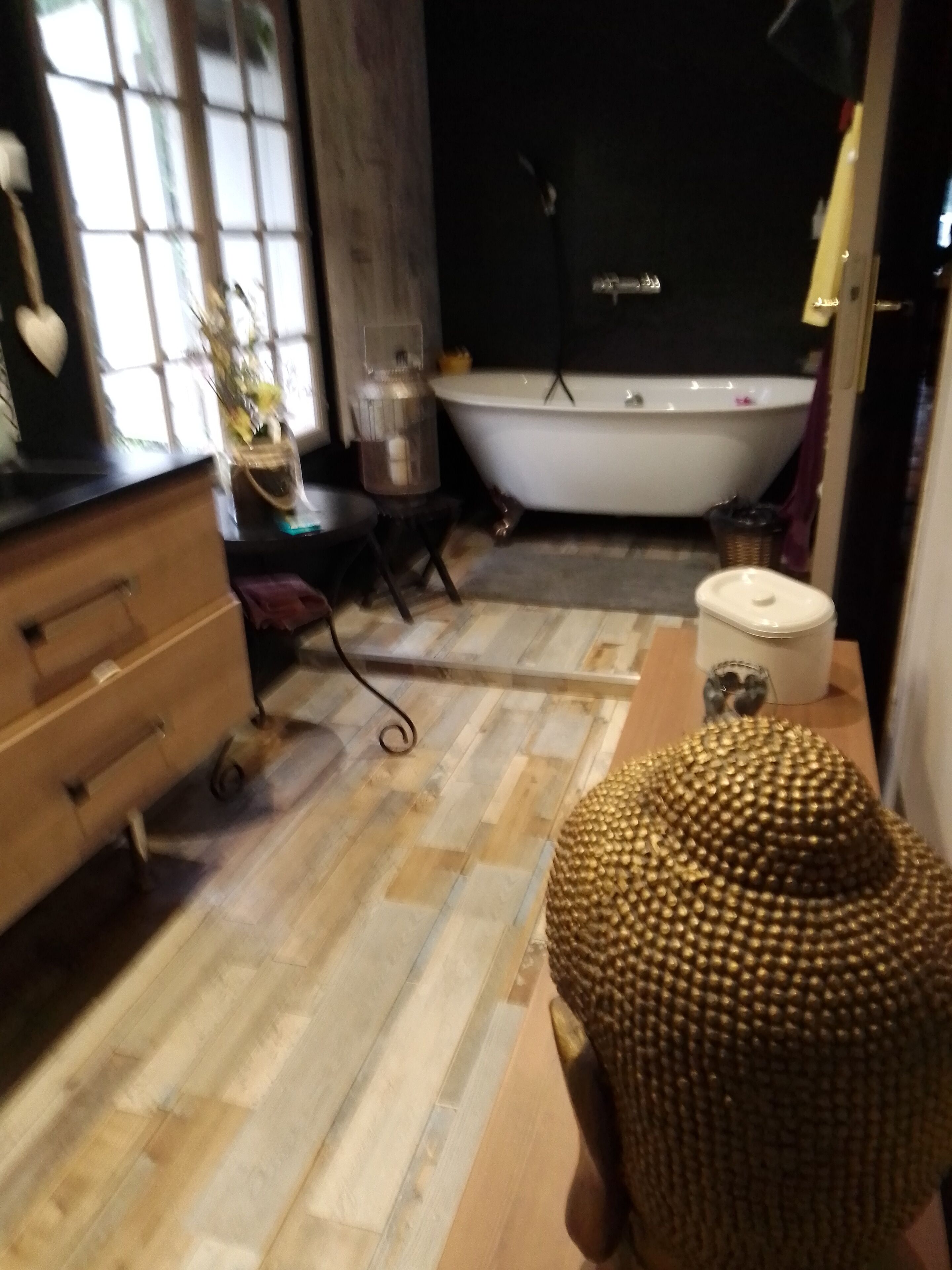 Combined shower/bathtub, hair dryer