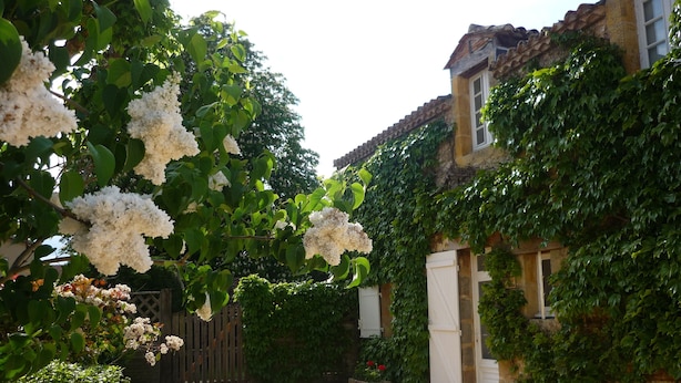 A courtyard with a gravel path, surrounded by lush greenery and white flowering plants. - Charming house + private pool *** 8 pers - in CAPDROT in Perigord Pourpre (Monpazier Capdrot)
