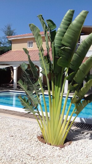 Alberca al aire libre